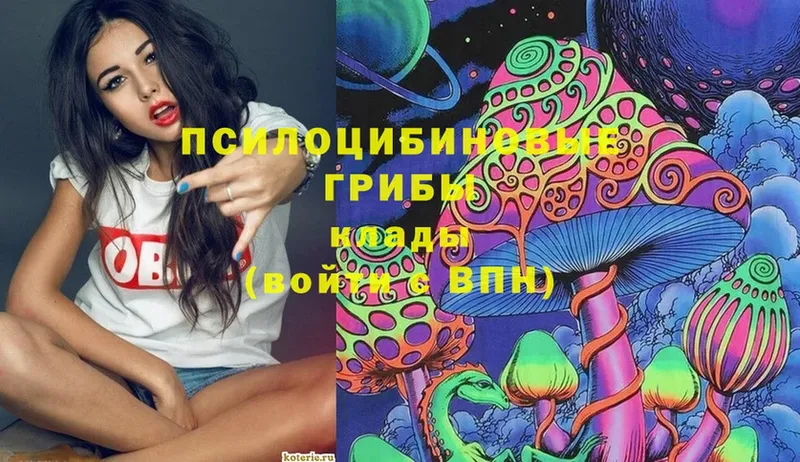 маркетплейс как зайти  Волхов  Псилоцибиновые грибы MAGIC MUSHROOMS 